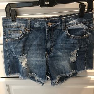 Hammer jeans- shorts distressed